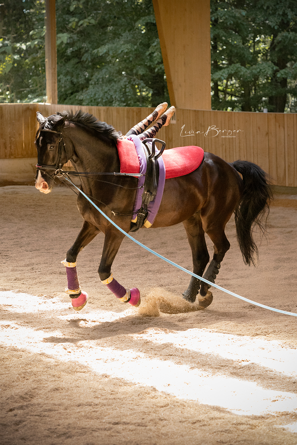 pinky-canter