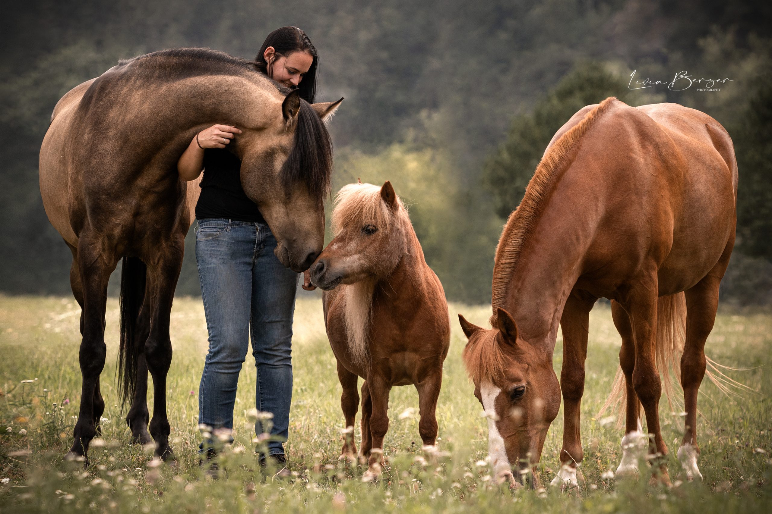 claudia-and-her-horses